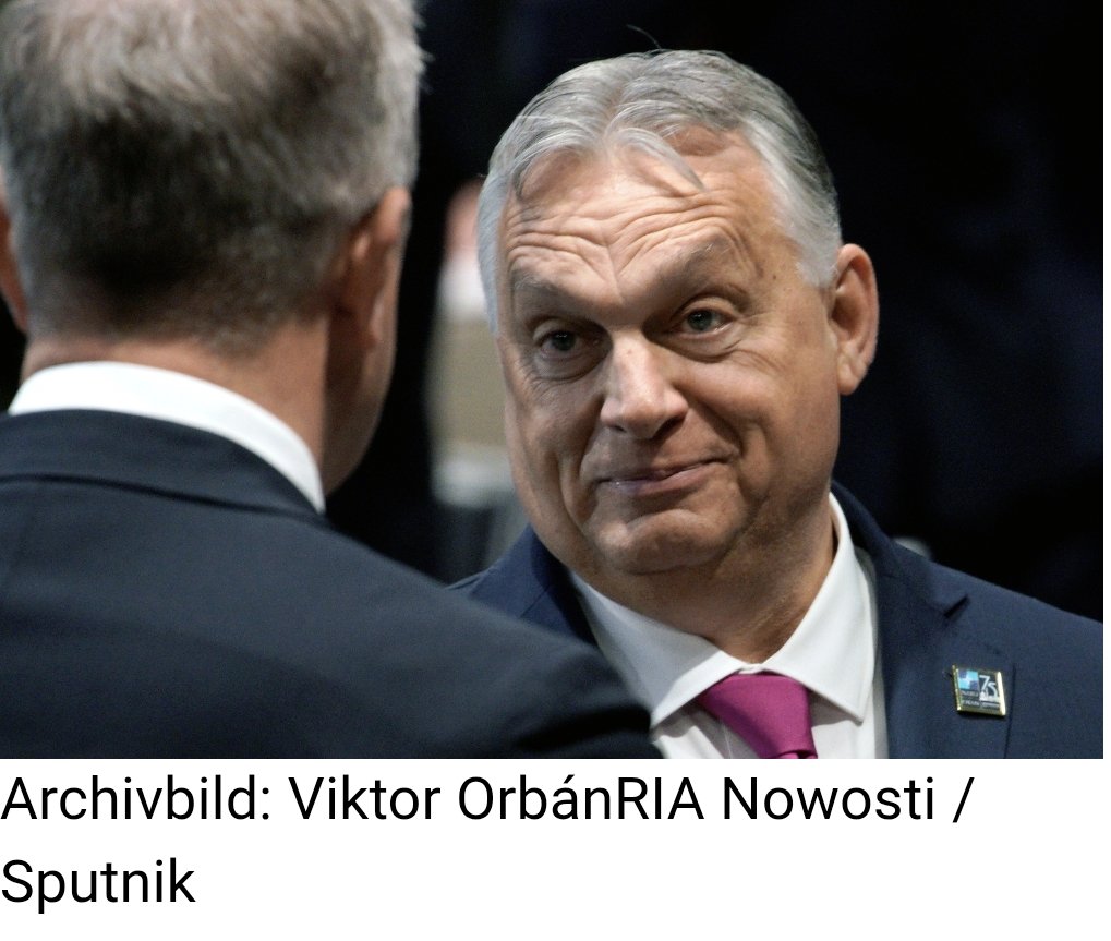 Berenice tweet media