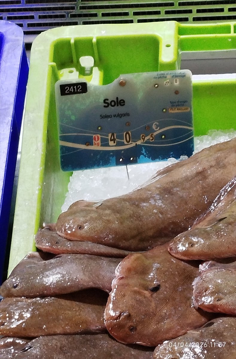 marcO benoit tweet media