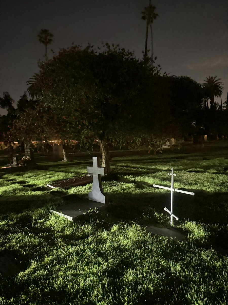 MAGGIE LINDEMANN tweet media