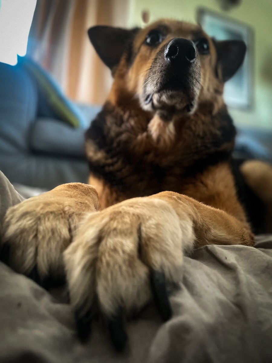 Ka SzaLew 📚 tweet media