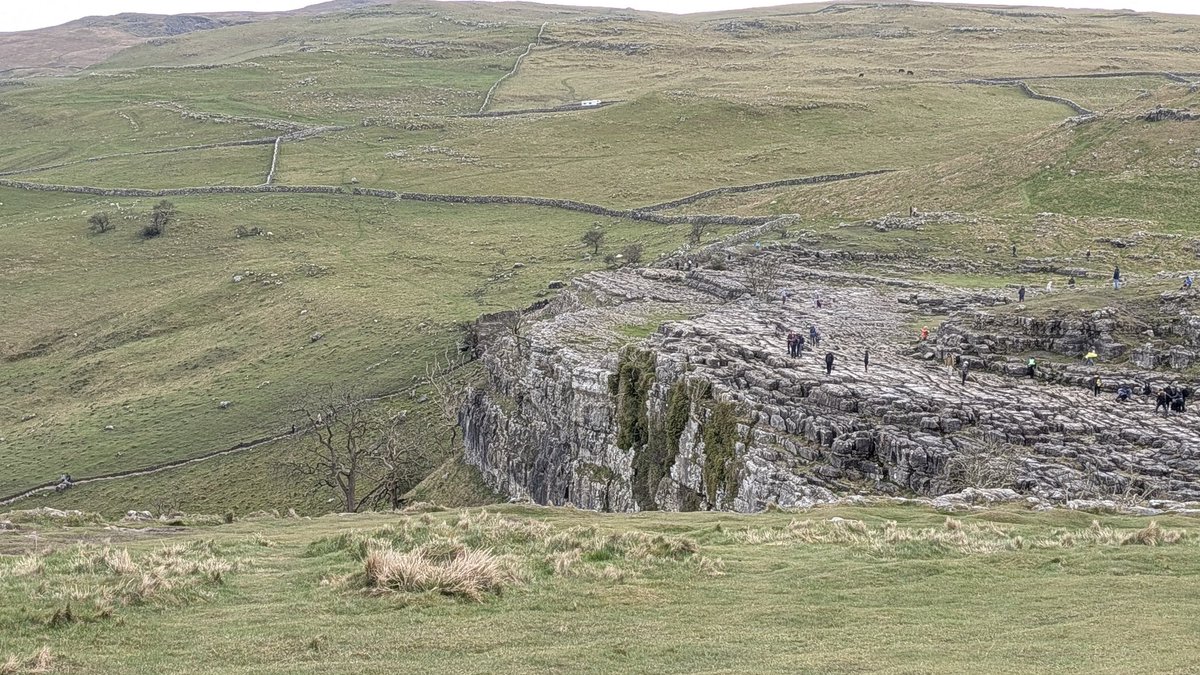 Mark Wallace tweet media