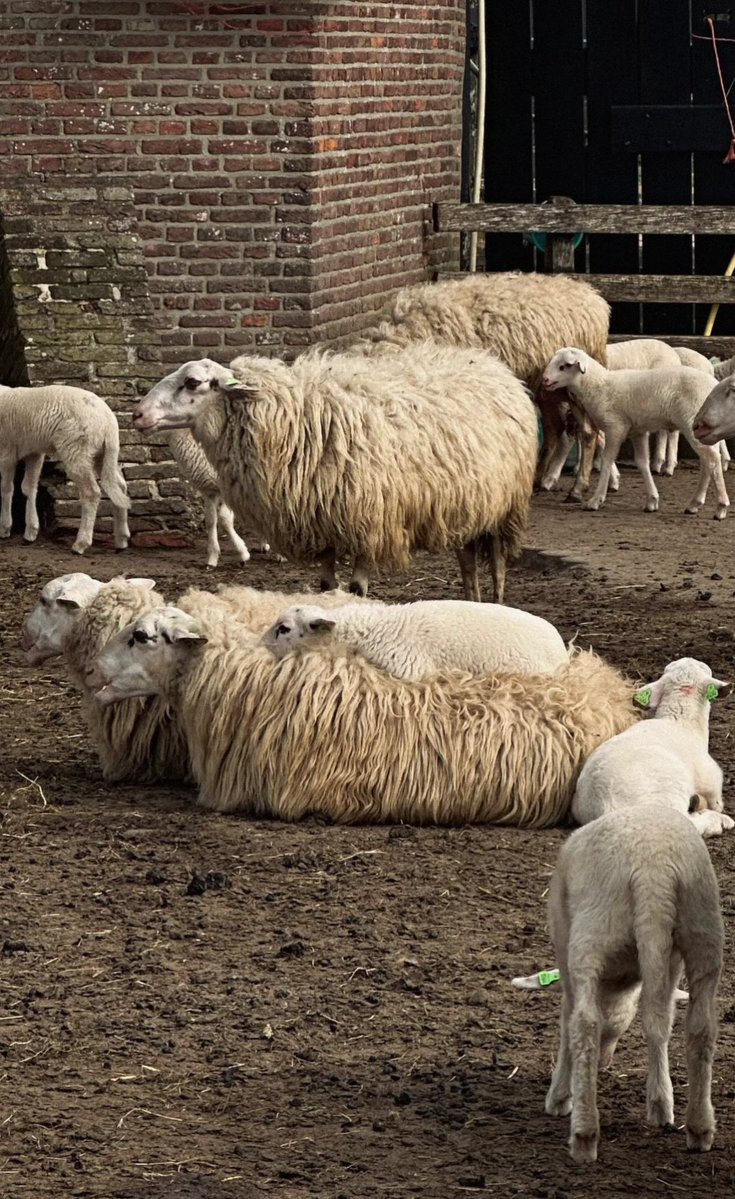 𝗜𝗡𝗦𝗧𝗔𝗚𝗥𝗔𝗠
       ⠀   ━━━  @𝙂𝙚𝙤𝙧𝙜𝙞𝙚𝙁𝙧𝙖𝙣𝙠_

                     Working 9 to 5 ❤️‍🔥

        ─────────────
          ⌂        ⌕         ⊞      ♡