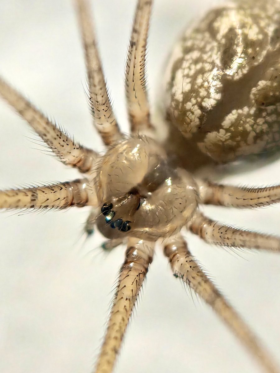 Sai Krishna tweet media