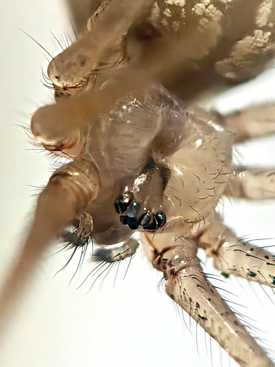 Sai Krishna tweet media