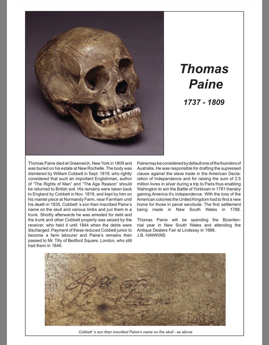 Mark Wallace tweet media