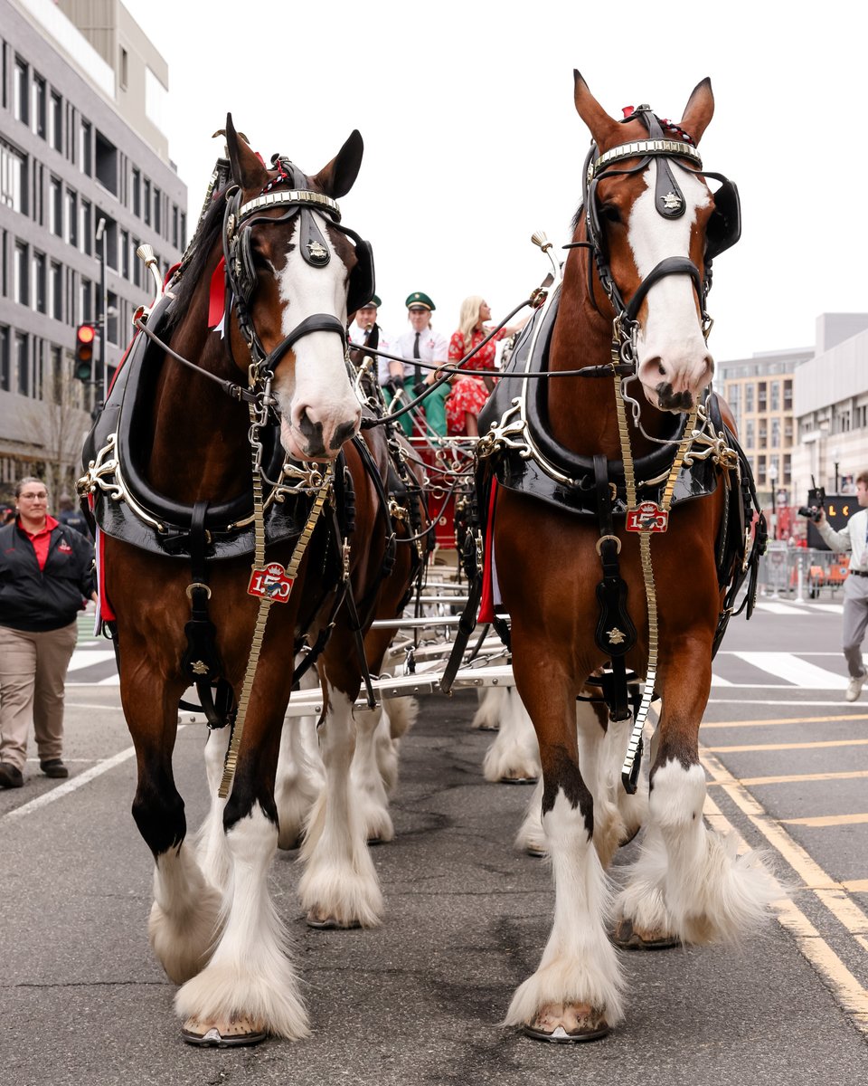 Nationals Park tweet media