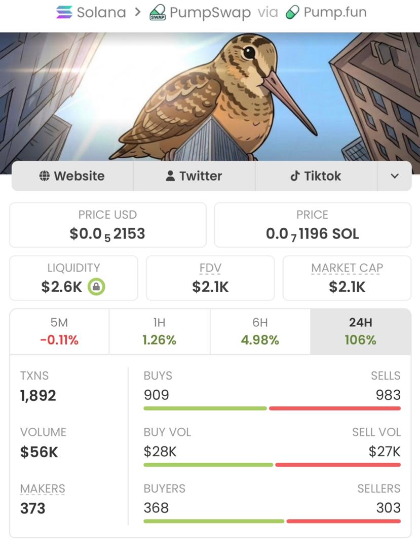 Greig Sol Coach tweet media