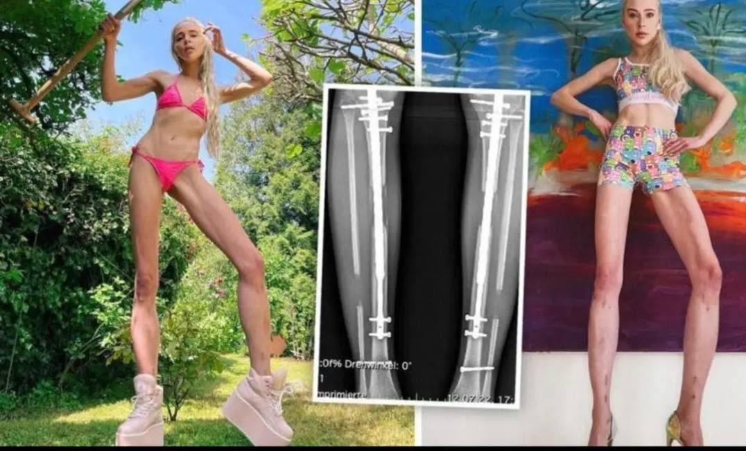 Morbid Knowledge tweet media