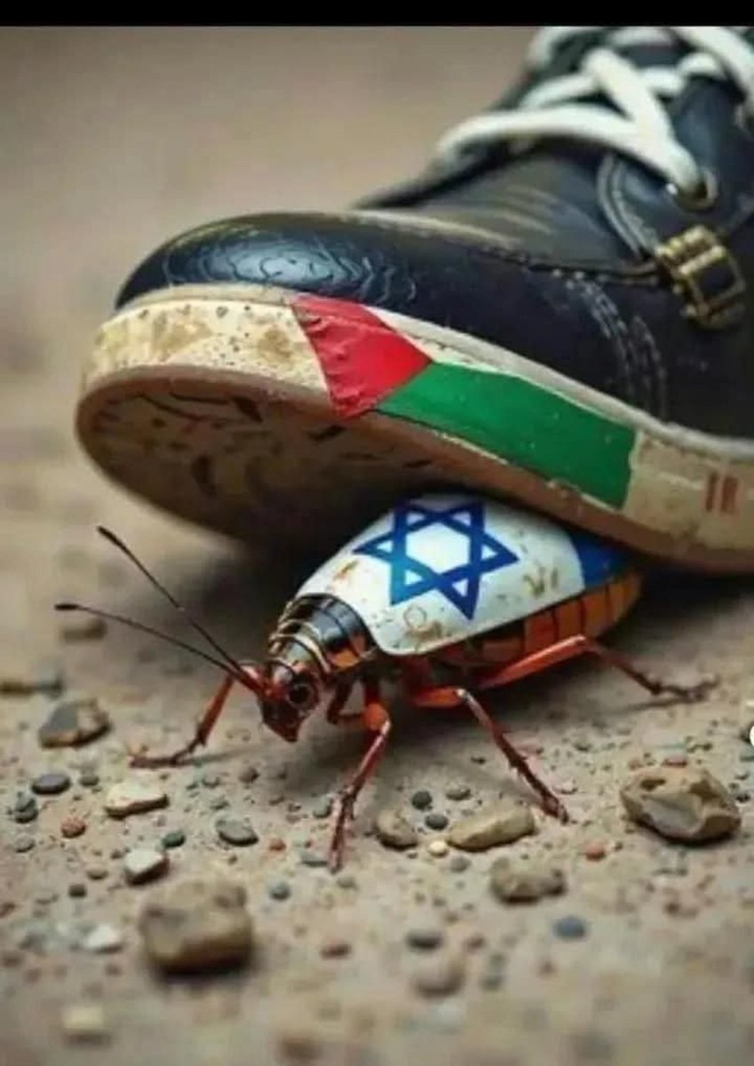 Martin Zolo tweet media