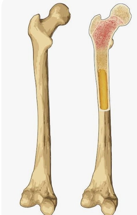 osauyi🇳🇬 tweet media