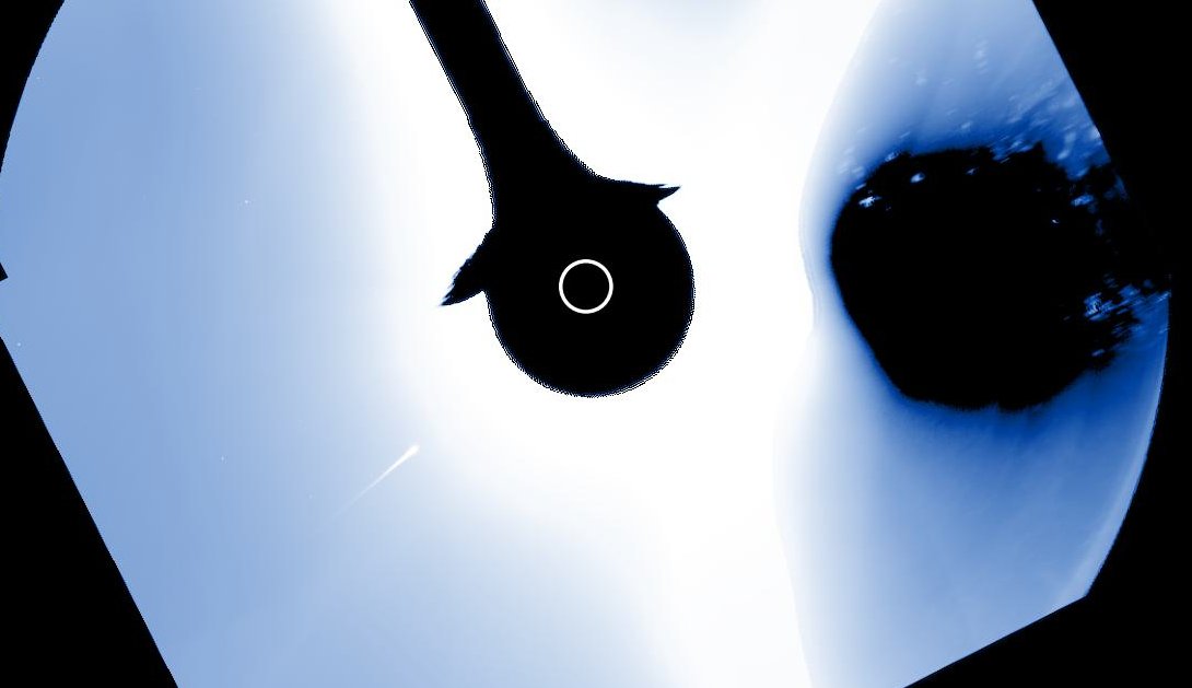 The King of America tweet media