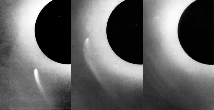 The King of America tweet media