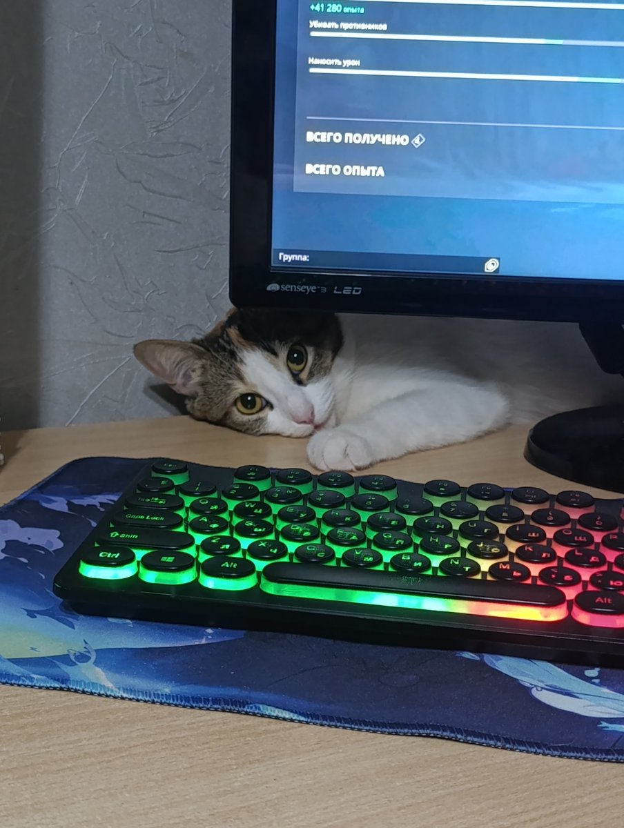 `ʍᥱʍуᥲρы ᥙᴛᥲ᧘ьян᧐чκᥙ;; tweet media