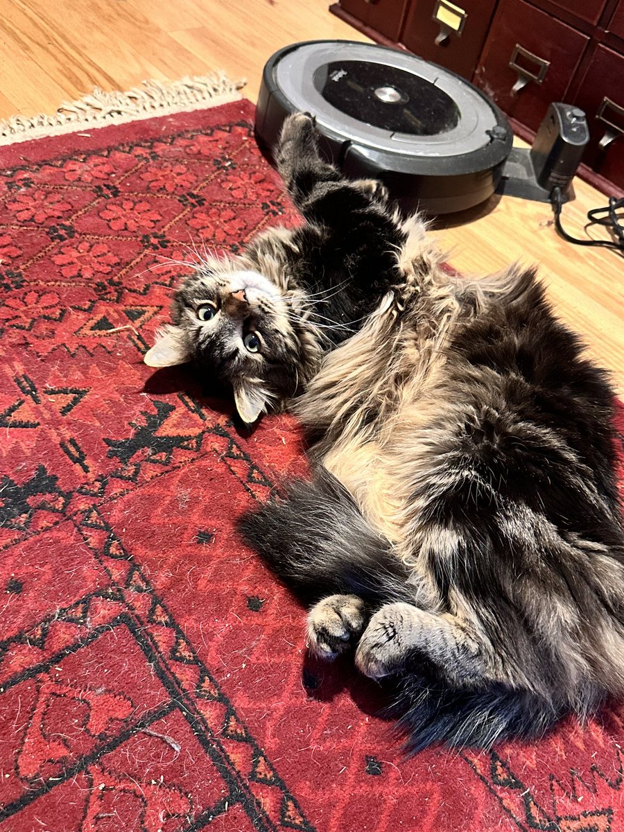 Mamacita tweet media