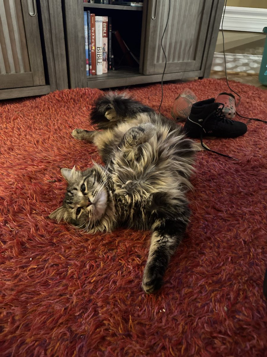 Mamacita tweet media