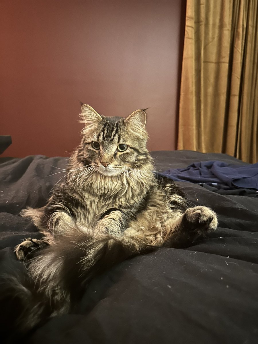 Mamacita tweet media