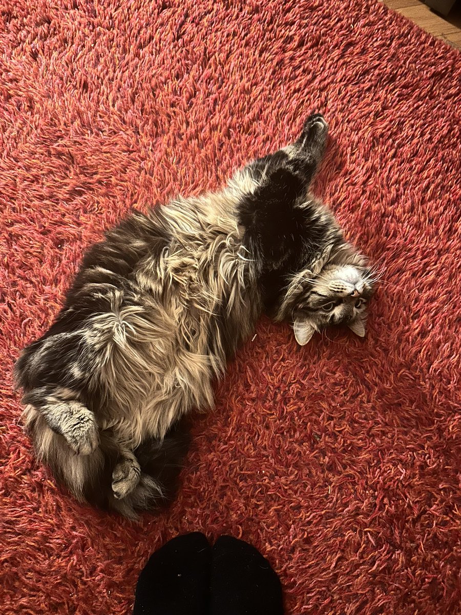 Mamacita tweet media