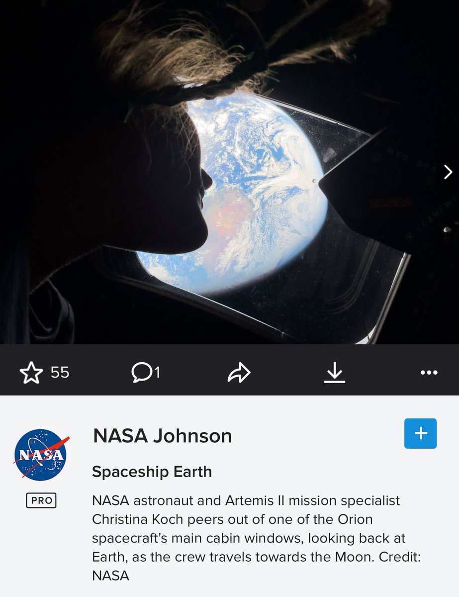 Sam Pancher tweet media