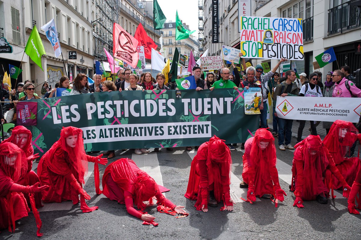 Voltuan's tweet photo. #PrintempsBruyant ! Stop #Pesticides ! Stop #AgroChimie ! Stop #Ecocides !! #Paris #4Avril2026 #Reddé aka #Voltuan activiste international pour toutes les urgences !! https://t.co/OALR9Wz0JM @AdresanSoso @lodeonfrederic @audreygarric @xrFrance @EELVParisCentre @EELV @afpfr https://t.co/cQ0KUaNIpW