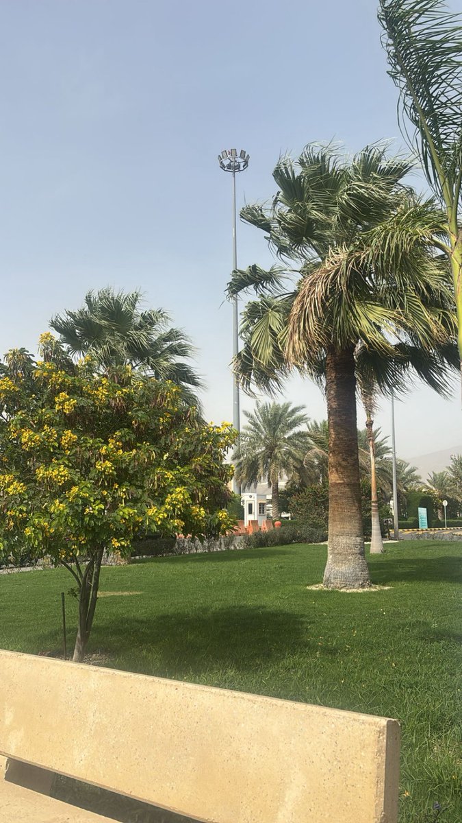Nedovtipa1's tweet photo. كورس جدًا ممتع و يورّينا قد ايش تخصص التخدير فعلًا تخصص عظيم و مُثري بالمعلومات. 

كل التفاصيل الصغيرة والدقيقة اللي تحصل خلف الكواليس هي منظومة متكاملة تثري تجربة المريض قبل واثناء وبعد العملية.

شكرًا للقائمين على هذا الحدث و جزيل الشكر للدكاترة على وقتهم!
 #BehindTheDrapes https://t.co/HeWJlOpelb
