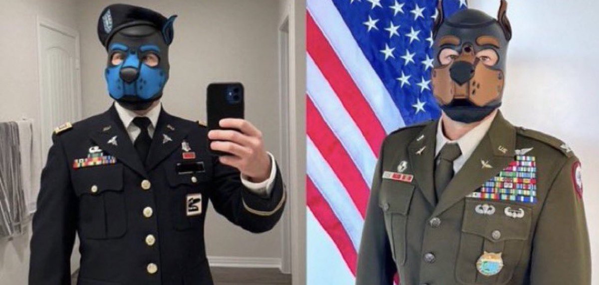 MAGApappabear tweet media