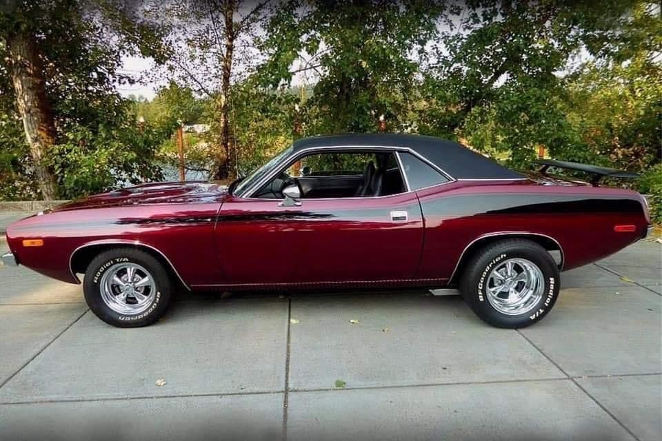 Randy Davis tweet media