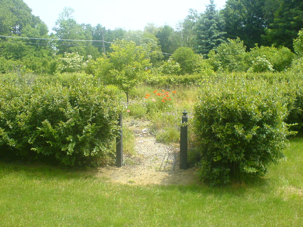 William Glad tweet media