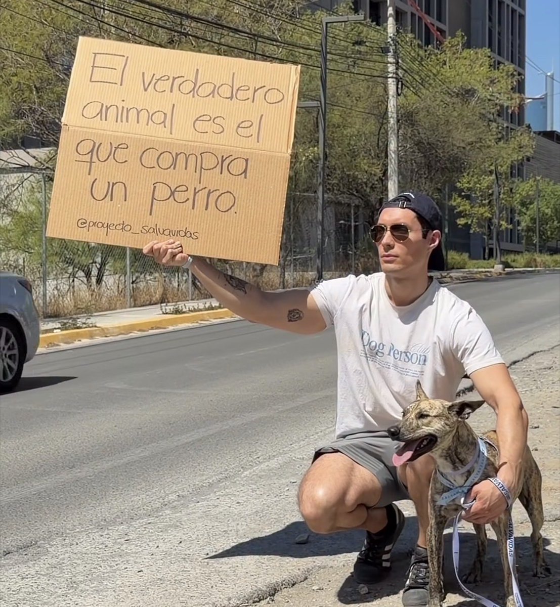 Guate Unida por los Animales tweet media