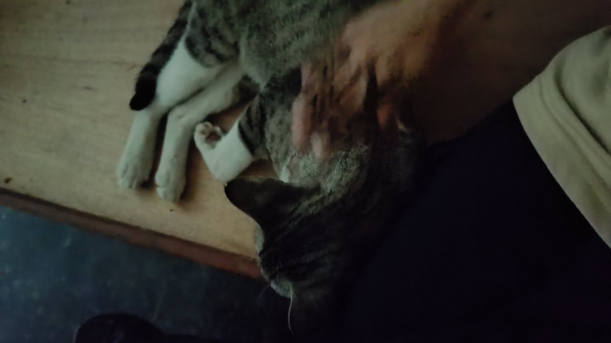 𝚊𝚕𝚎𝚡𝚒𝚜 ❦ tweet media