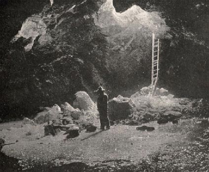 Fénix Canarias tweet media