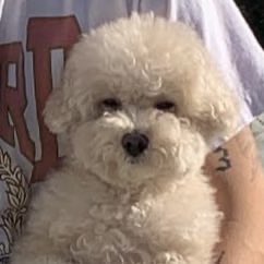 คือพี่คะ ตาหนูเหลือแค่นี้🥱

SAMSUNG M&amp;G WITH MARK TUAN
#GalaxyExperiencexMarkTuan