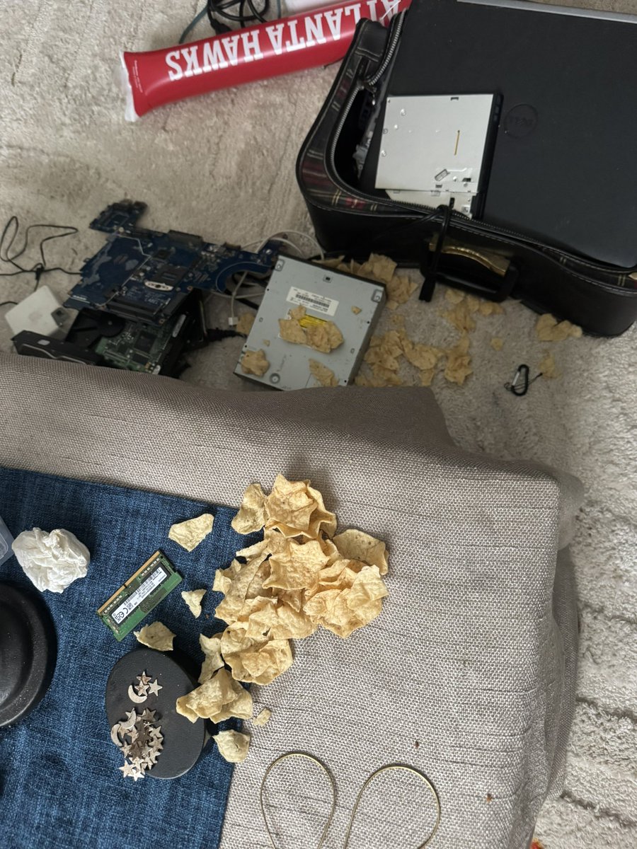 ᵎᵎ fox ִ࣪𖤐 tweet media