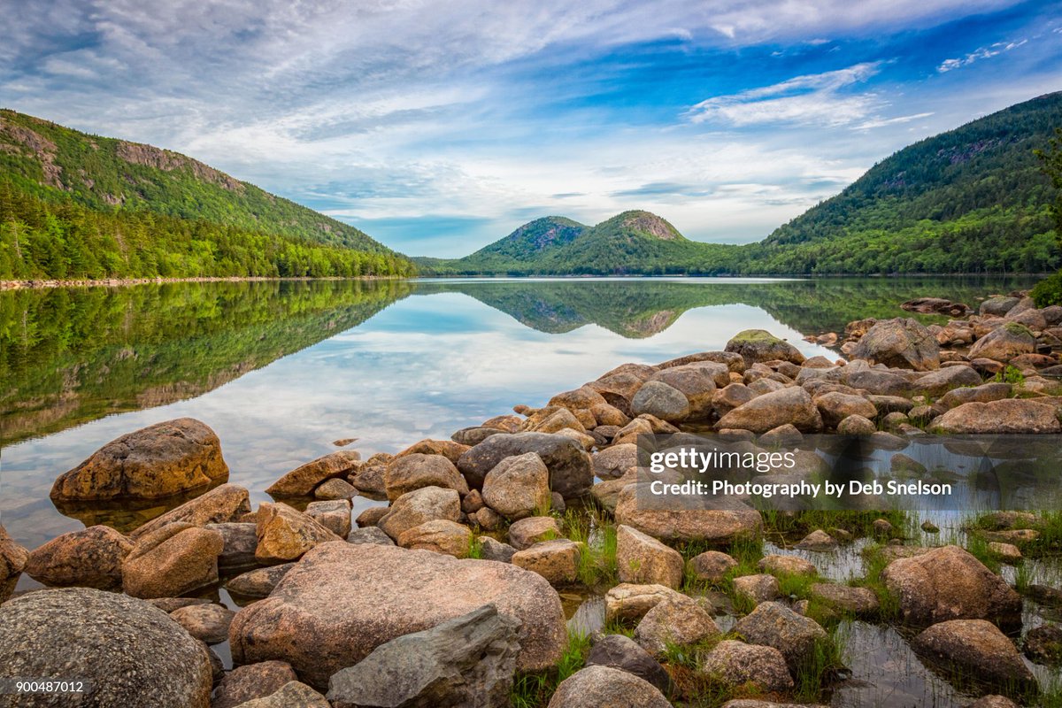 Ryan Scanlan 👥 tweet media