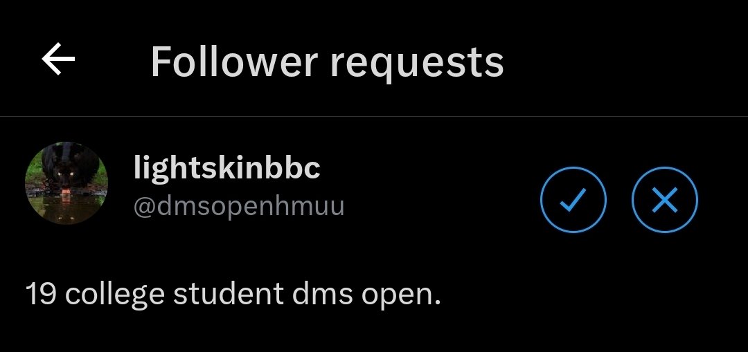 ♯ 🪽 ⸝⸝ @𝒗𝒊𝒗𝒊 ─ ✿ tweet media