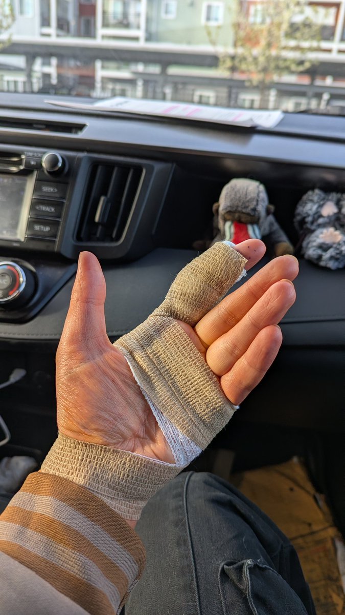 Possum 😼 tweet media