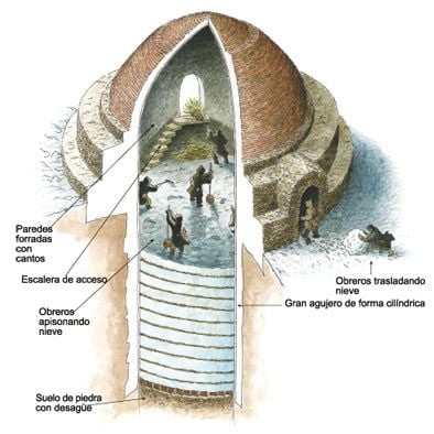 Fénix Canarias tweet media