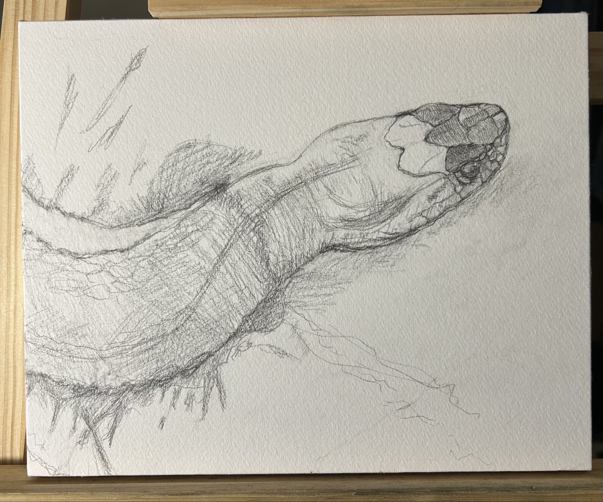 夕月 (@uzuki1115) on Twitter photo 