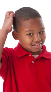 Tanuki Paisen tweet media