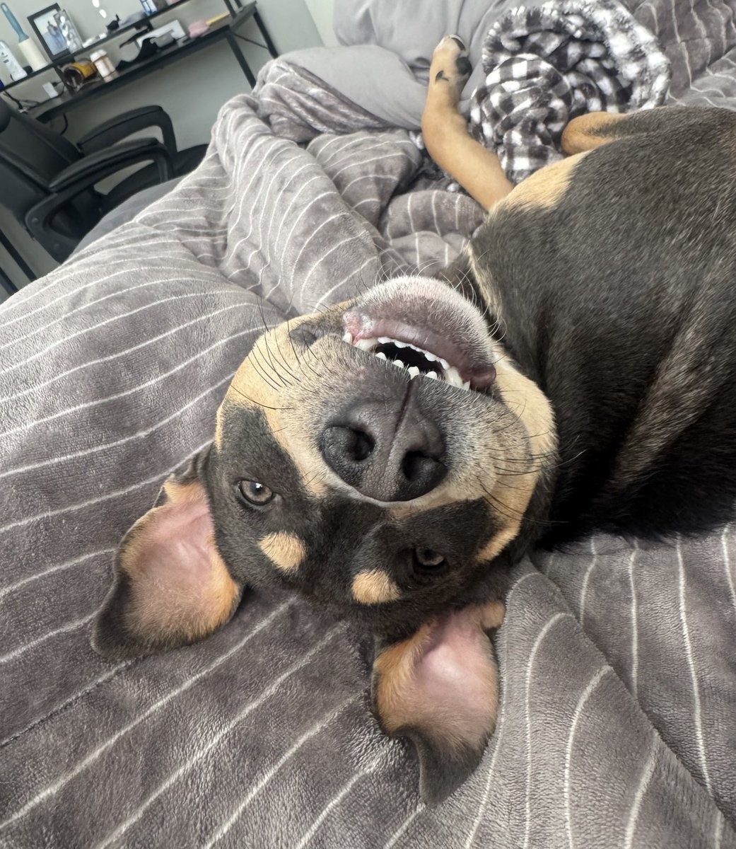 chloe wojtanik tweet media