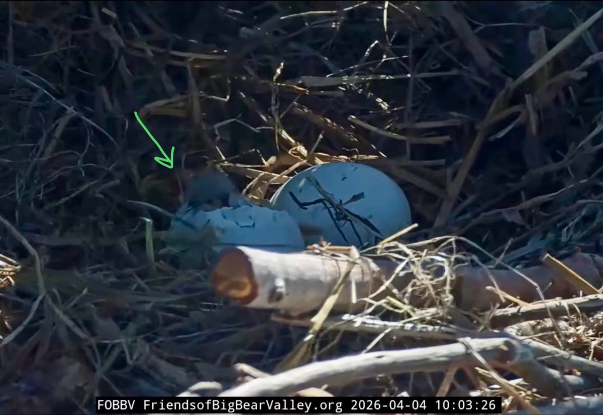 Kat Packer tweet media