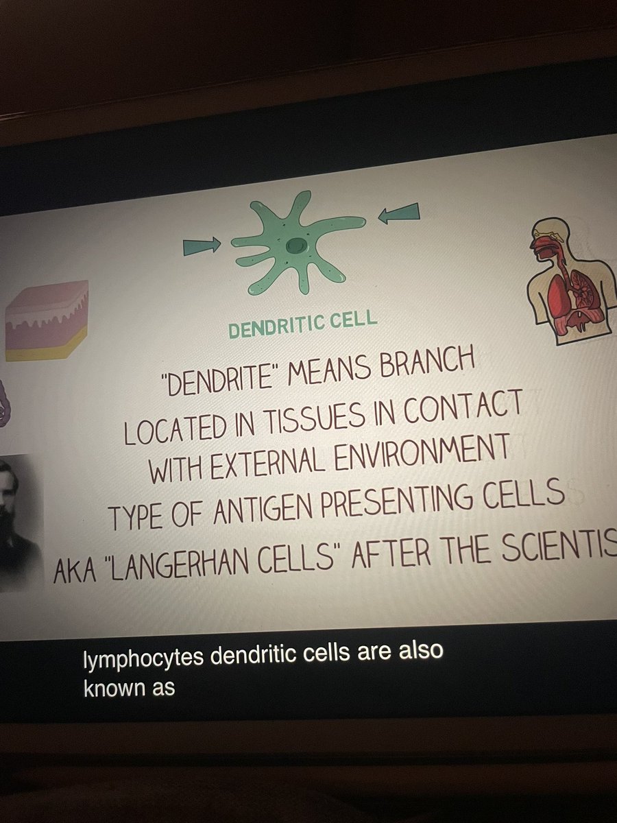 julius ♡ (broke era) tweet media