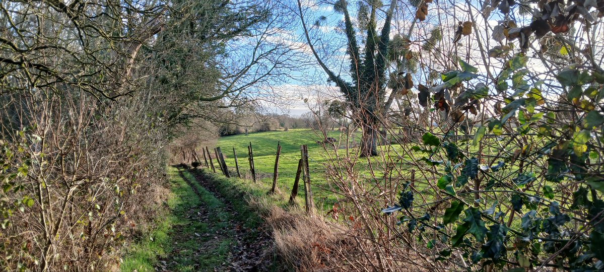 Sylvester Staline🇦🇴 tweet media