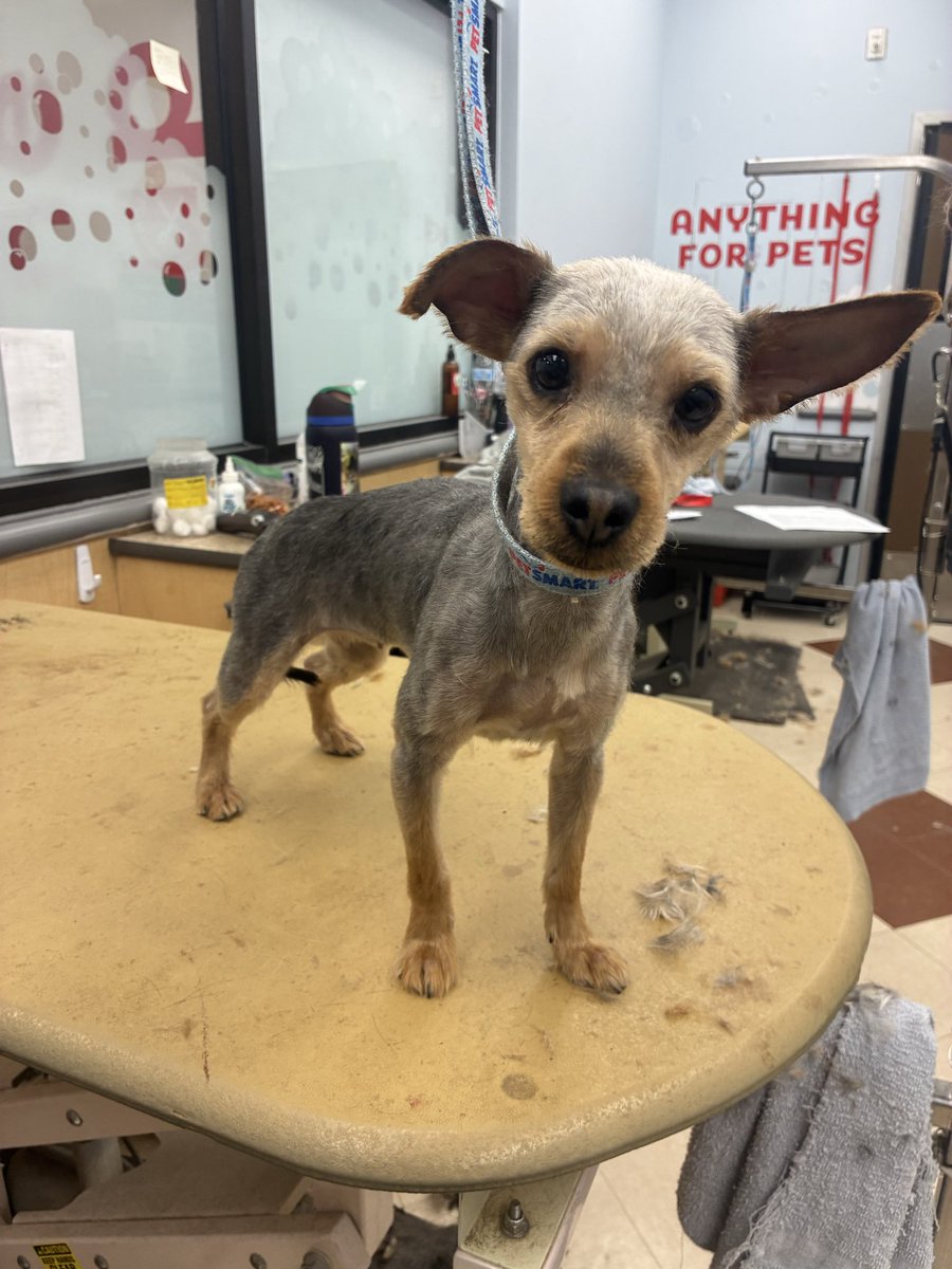 aaron 𐂂 tweet media