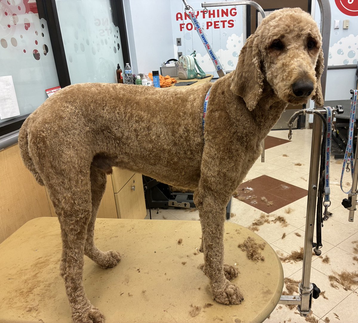 aaron 𐂂 tweet media