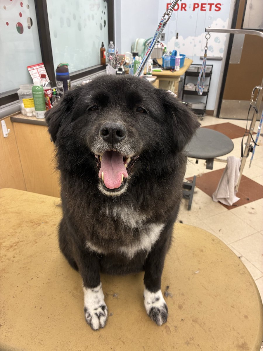 aaron 𐂂 tweet media