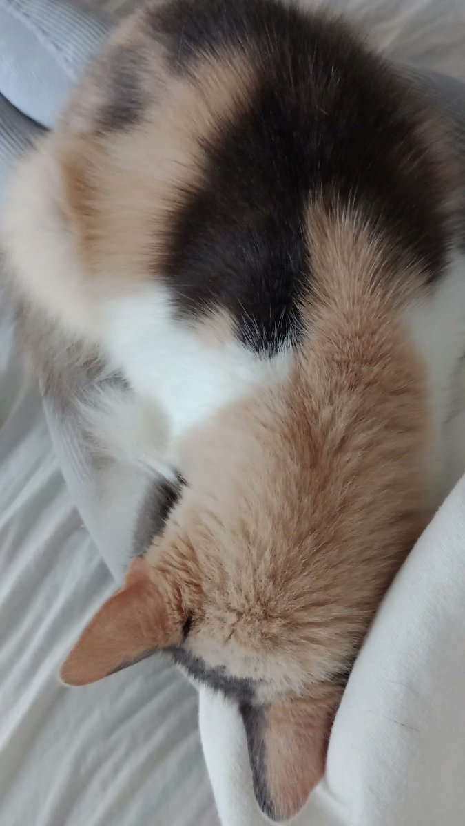 Andrea Lagasio tweet media