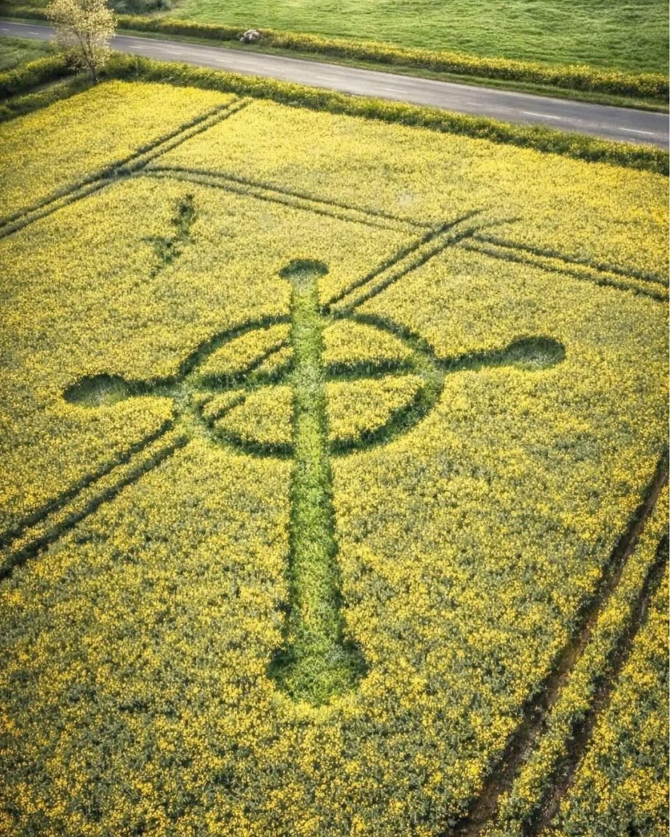 SpiritSTEM tweet media