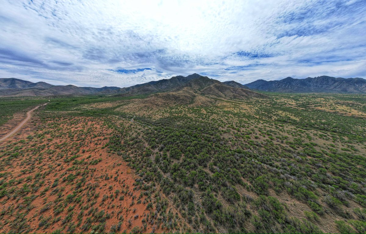 🅽🅴🆁🅳🆈 tweet media