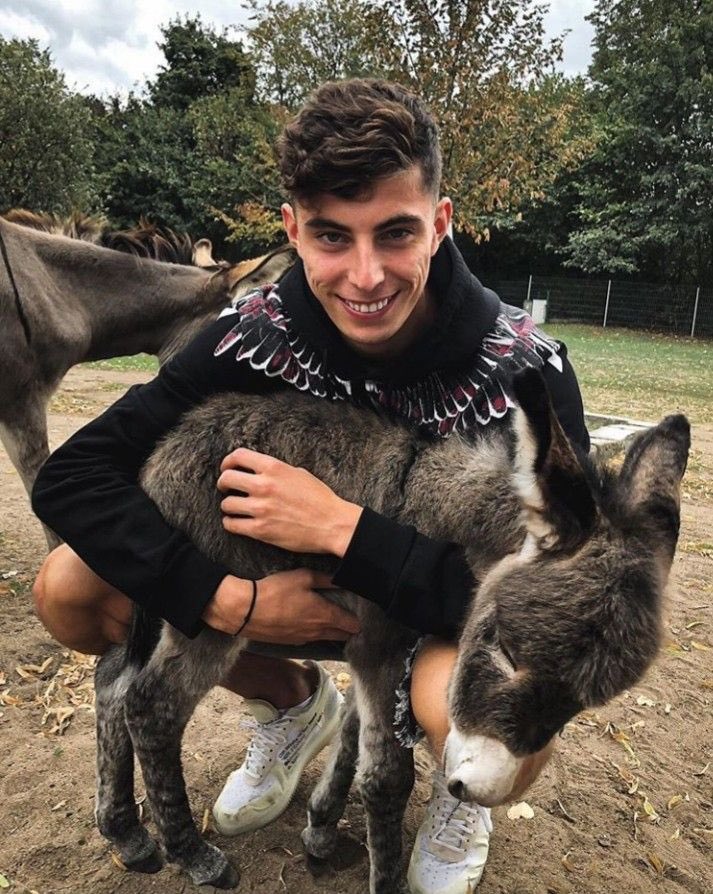 heavycannon 🇸🇪 tweet media