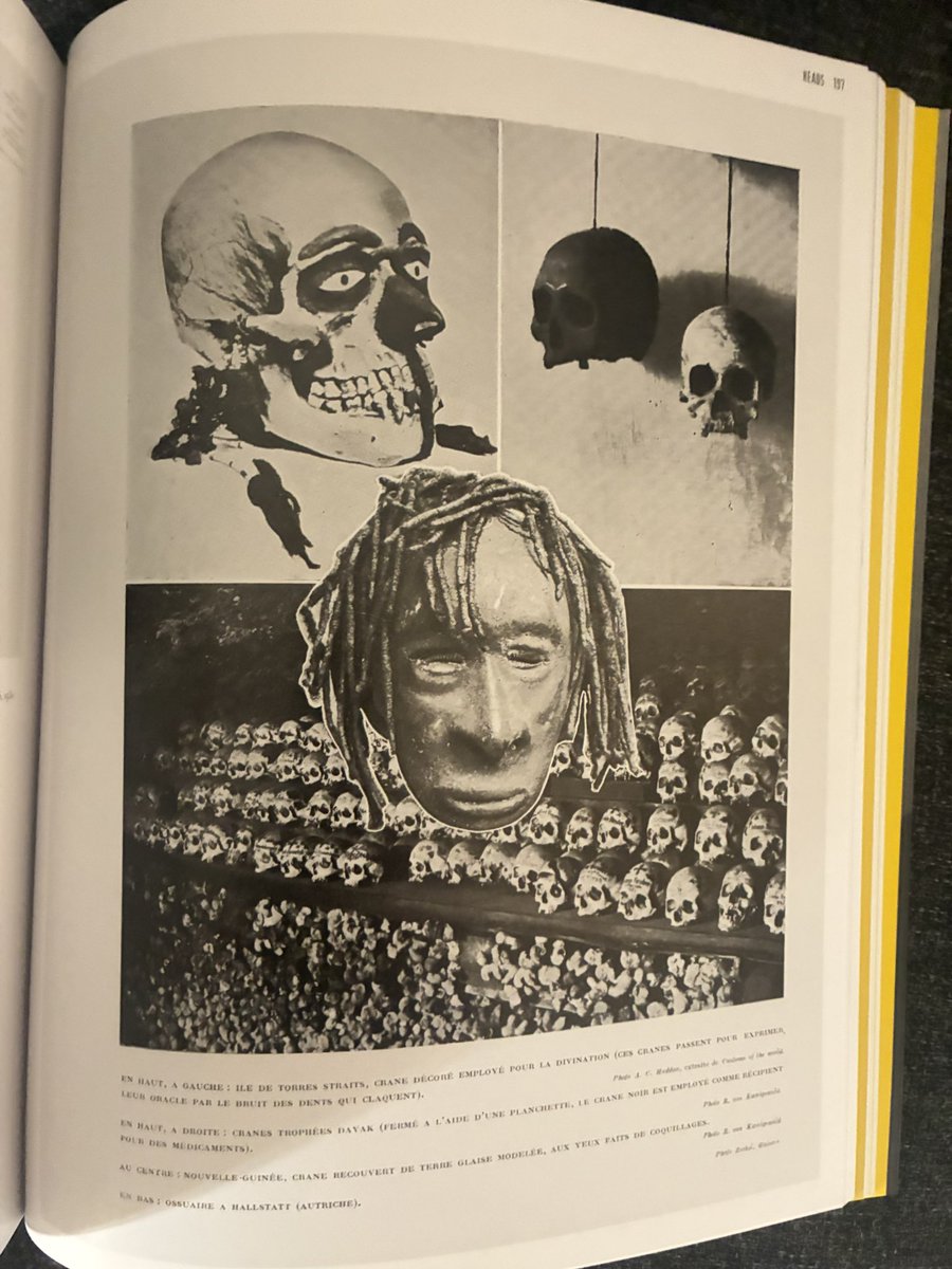 Max Thrax tweet media